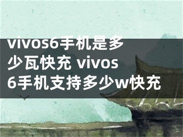 vivos6手机是多少瓦快充 vivos6手机支持多少w快充