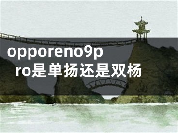 opporeno9pro是单扬还是双杨