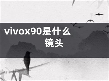 vivox90是什么镜头