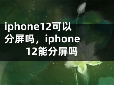 iphone12可以分屏吗，iphone12能分屏吗