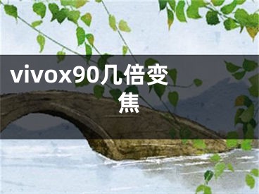 vivox90几倍变焦