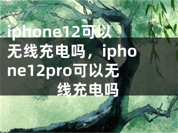 iphone12可以无线充电吗，iphone12pro可以无线充电吗