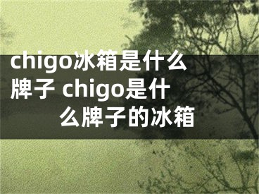 chigo冰箱是什么牌子 chigo是什么牌子的冰箱