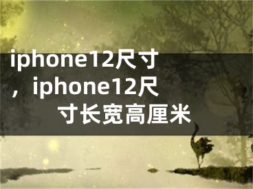iphone12尺寸，iphone12尺寸长宽高厘米