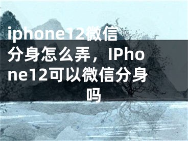 iphone12微信分身怎么弄，IPhone12可以微信分身吗