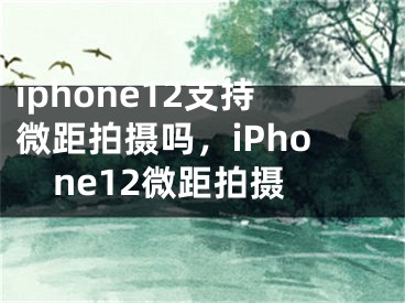 iphone12支持微距拍摄吗，iPhone12微距拍摄
