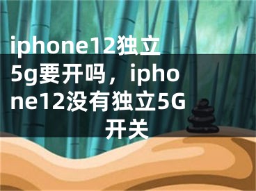iphone12独立5g要开吗，iphone12没有独立5G开关 