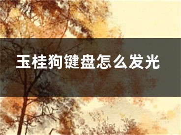 玉桂狗键盘怎么发光