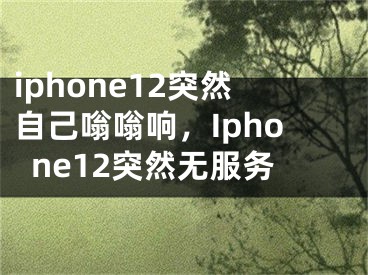 iphone12突然自己嗡嗡响，Iphone12突然无服务