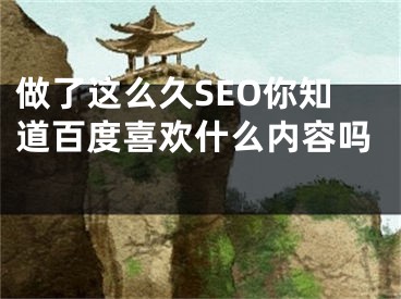 做了这么久SEO你知道百度喜欢什么内容吗 