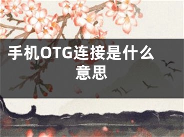 手机OTG连接是什么意思