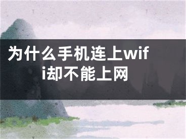 为什么手机连上wifi却不能上网