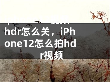 iphone12视频hdr怎么关，iPhone12怎么拍hdr视频