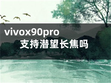 vivox90pro支持潜望长焦吗