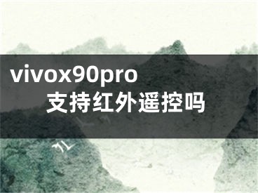 vivox90pro支持红外遥控吗