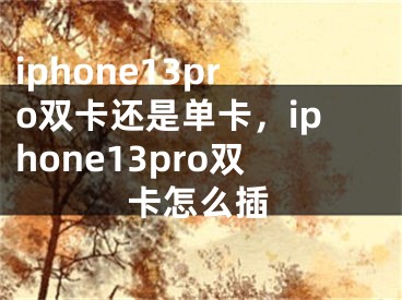 iphone13pro双卡还是单卡，iphone13pro双卡怎么插