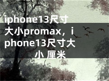 iphone13尺寸大小promax，iphone13尺寸大小 厘米