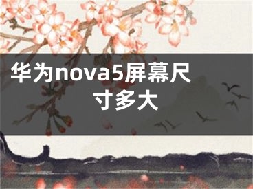 华为nova5屏幕尺寸多大