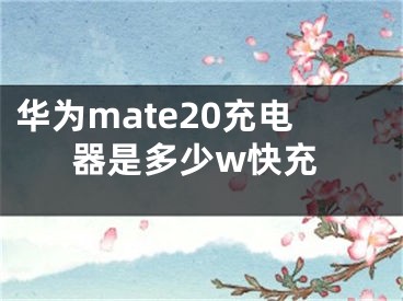 华为mate20充电器是多少w快充 