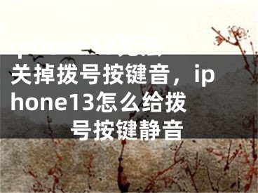 iphone13无法关掉拨号按键音，iphone13怎么给拨号按键静音