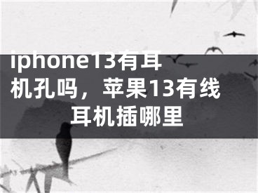 iphone13有耳机孔吗，苹果13有线耳机插哪里