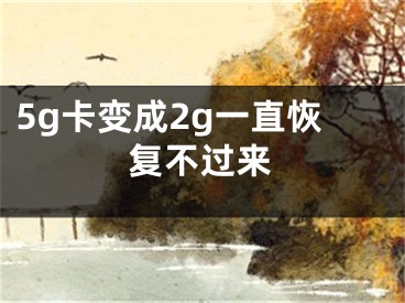 5g卡变成2g一直恢复不过来