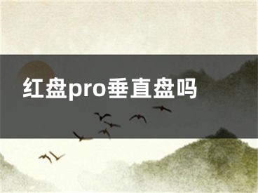 红盘pro垂直盘吗