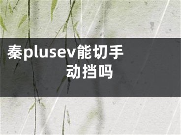 秦plusev能切手动挡吗