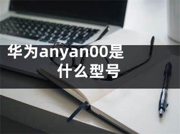 华为anyan00是什么型号