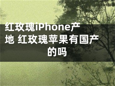 红玫瑰iPhone产地 红玫瑰苹果有国产的吗