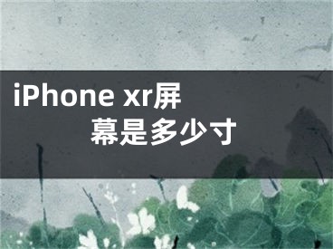 iPhone xr屏幕是多少寸