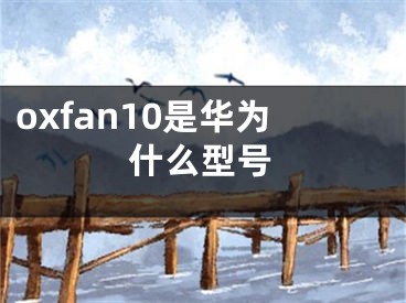 oxfan10是华为什么型号