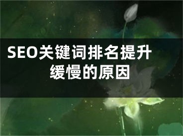 SEO关键词排名提升缓慢的原因 