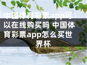 中国体育彩票app可以在线购买吗 中国体育彩票app怎么买世界杯