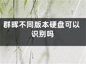 群晖不同版本硬盘可以识别吗