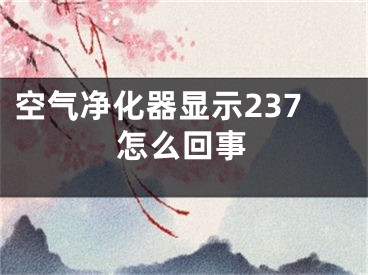 空气净化器显示237怎么回事