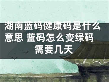 湖南蓝码健康码是什么意思 蓝码怎么变绿码需要几天