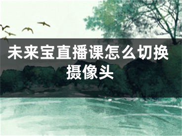 未来宝直播课怎么切换摄像头