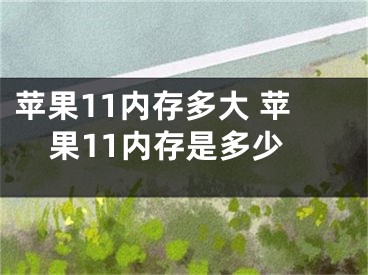 苹果11内存多大 苹果11内存是多少