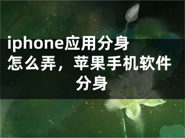 iphone应用分身怎么弄，苹果手机软件分身