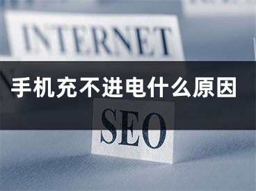 手机充不进电什么原因