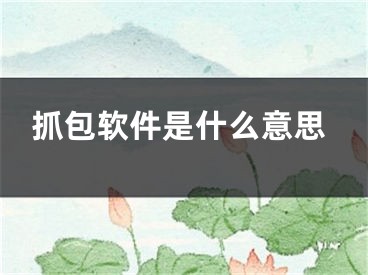 抓包软件是什么意思