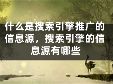 什么是搜索引擎推广的信息源，搜索引擎的信息源有哪些