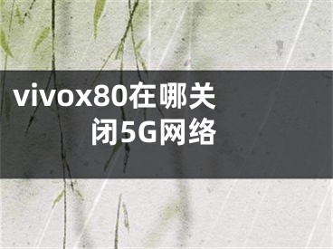 vivox80在哪关闭5G网络