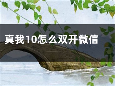 真我10怎么双开微信