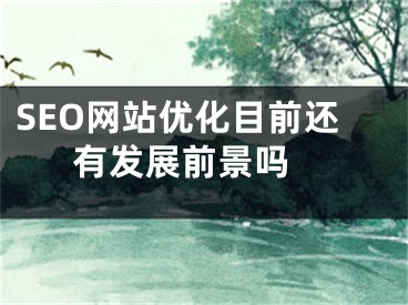 SEO网站优化目前还有发展前景吗 