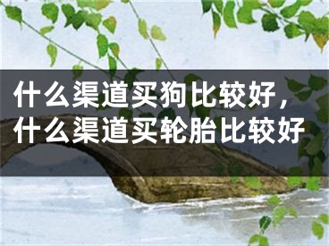 什么渠道买狗比较好，什么渠道买轮胎比较好 