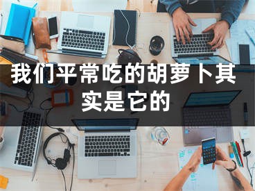 我们平常吃的胡萝卜其实是它的