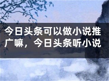 今日头条可以做小说推广嘛，今日头条听小说