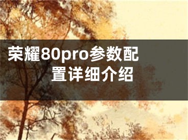 荣耀80pro参数配置详细介绍 